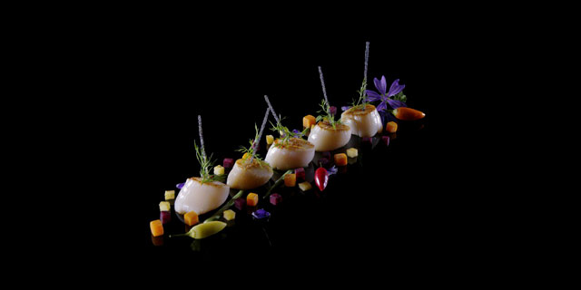 noix de saint jacques
